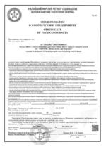 Russian Maritime Register of Shipping Recogniton Certificate